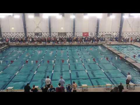 Video of 100 Fly - 2024 Jr/Sr Power Point Championships