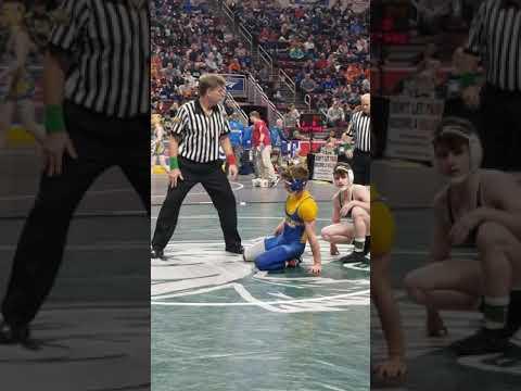 Video of Junior year Gabe blue singlet, PIAA states blood round