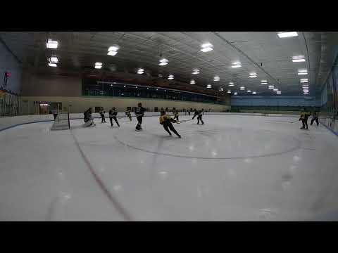 Video of Goal from Hash Marks