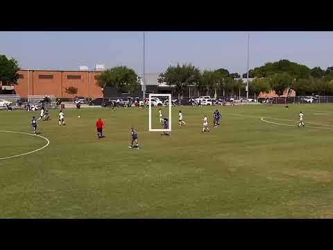 Video of Ally Pinto Highlights