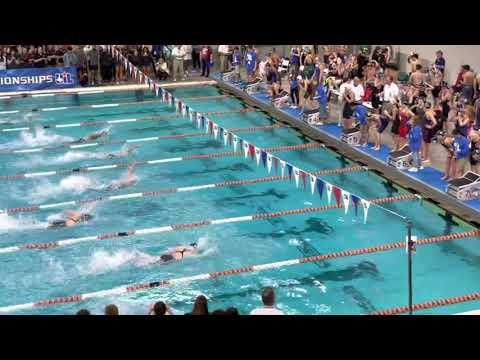 Video of Cameryn Johnson c/o 2023. Lane 2. 2022 State Finals 200y free relay. Anchor 23.5