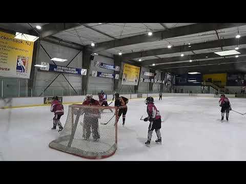 Video of March 10th 2023 AAHA quarterfinal game vs Princeton Tiger lillies.Third period saves.