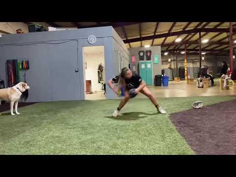 Video of Arm Slot Workout