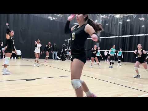 Video of Lefty Setter 2025 