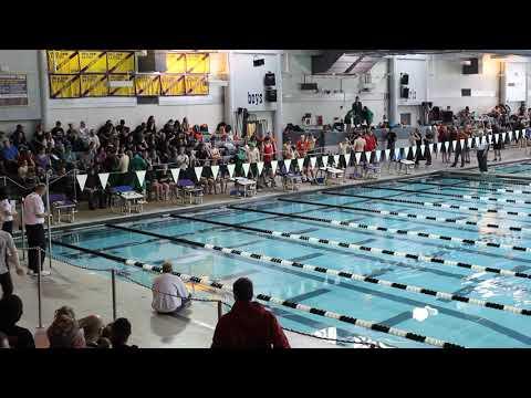 Video of 2019 3A Boys Swimming and Diving Championships