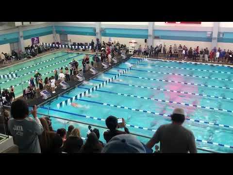 Video of 100 fly 