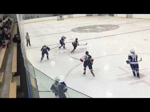 Video of Calli Hogarth #41 vs Sudbury Wolves