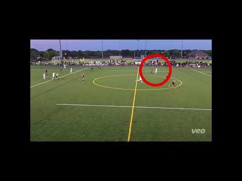 Video of 2022 fall highlights