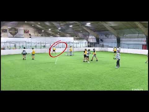 Video of Short stick box highlights 