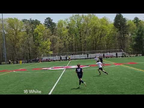 Video of Spring 2023 Travel Highlights