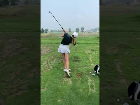 Video of Swing 2