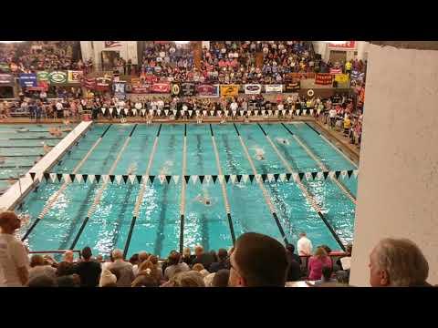 Video of 500 Free Ohio State Championships - Lane 6