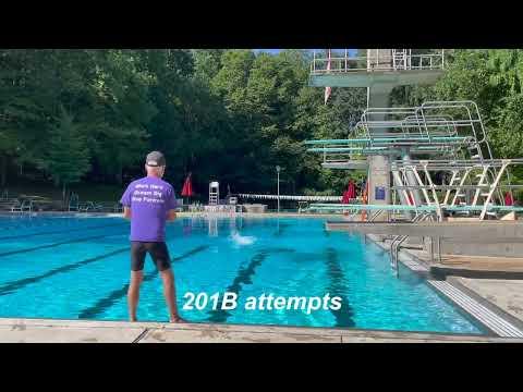 Video of 1 Meter Dives