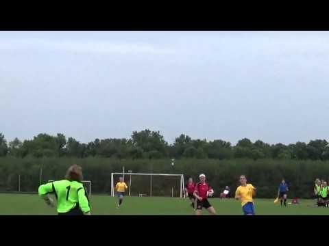 Video of ODP Highlights