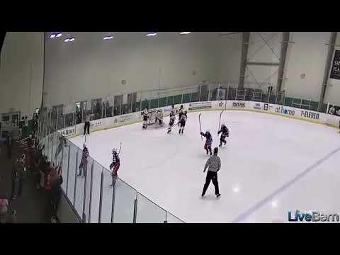 Video of Ethan Riddle Hockey State Championship Game Winning Goal vs Texas Tigers  