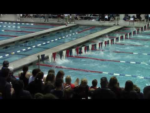 Video of 50 Free