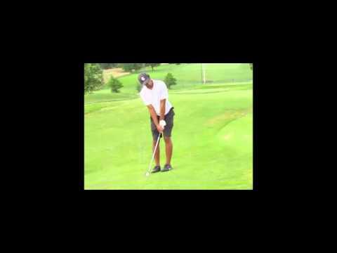 Video of Chipping 2015