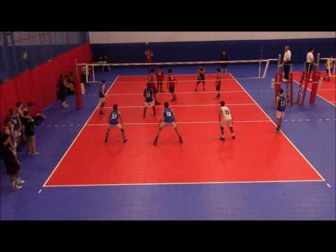 Video of Tommy Koppang Volleyball Highlights