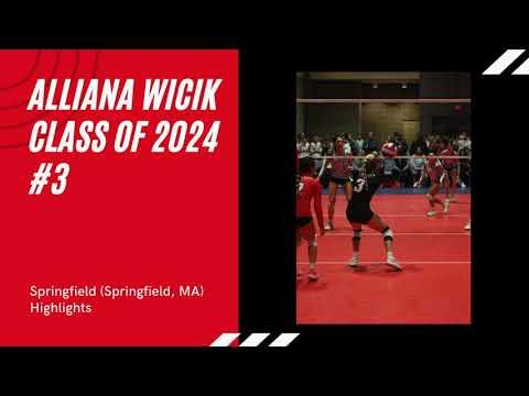 Video of Springfield Highlights 2024