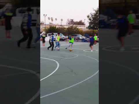 Video of Soccer highlights #1