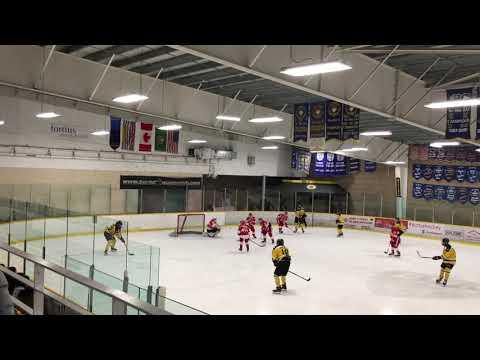 Video of Dec. 21, 2019 42 save 7:2 win vs. BWC E-15