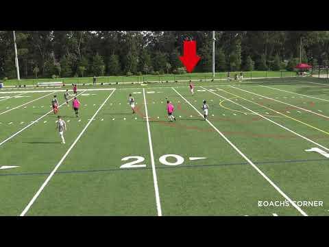 Video of August 2020 - Clinic Highlights