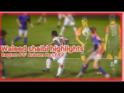 Video of Waleed hightlights 