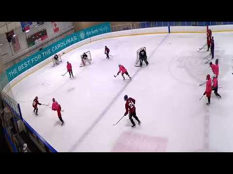 Video of USA Hockey - 2024 CAHA Player Development Camp