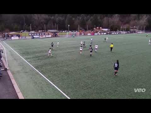 Video of Goal 3