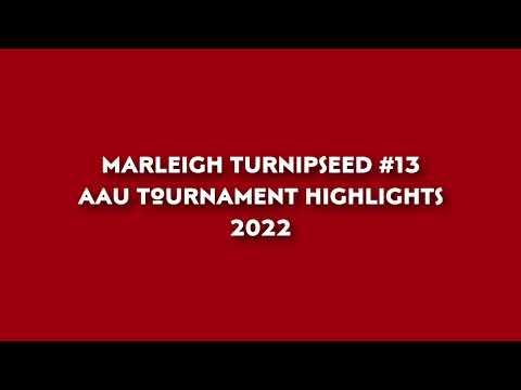 Video of AAU 2022 highlights