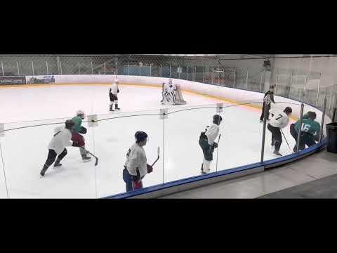 Video of 2023 Anchorage Wolverines Pre-Draft Camp