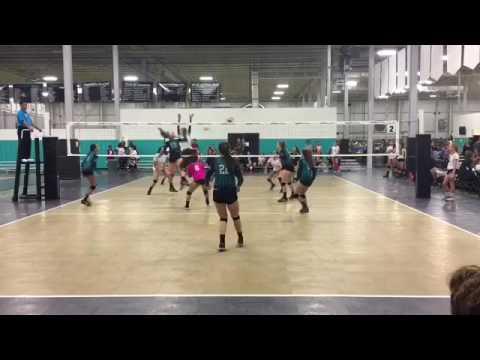 Video of Mollie Lawrence setter class 2021 