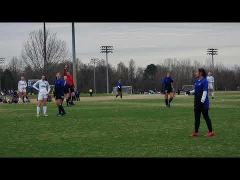 Video of 17 Blue Jersey 