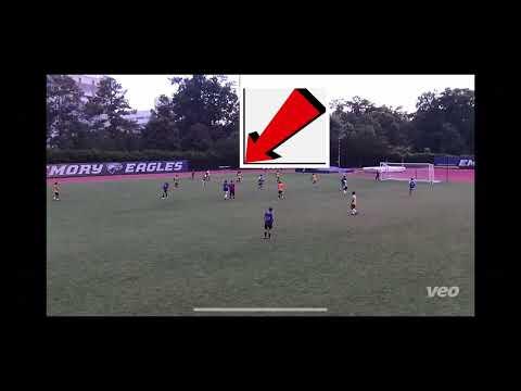 Video of Emory ID Camp Highlights