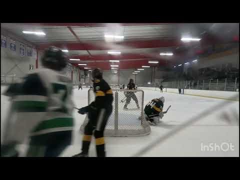 Video of Hockey Highlights 