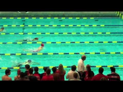 Video of 200 Medley Relay PIAA District 12 Final - Breaststroke Leg (Pink Cap and Pink/Black Speedo))