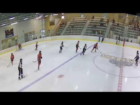 Video of Hockey Clips (#27)