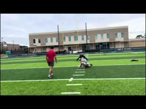 Video of Training kicks