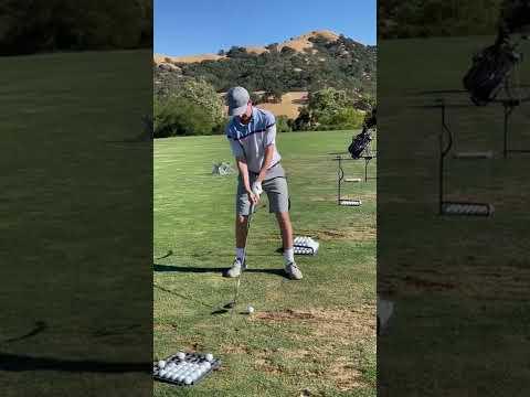 Video of 3 Wood Face On