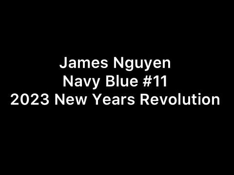 Video of New Years Revolution Highlights