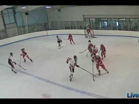 Video of Avery Bauman - Class of 2026 - 14U Highlights
