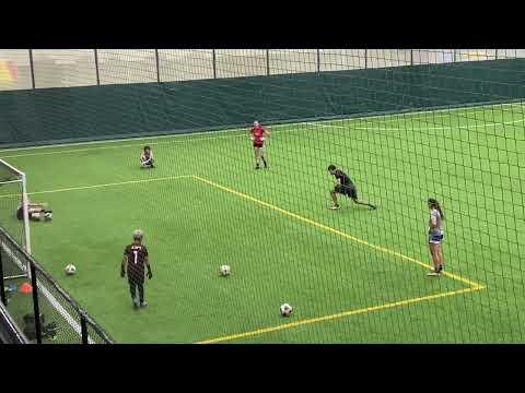 Video of Anna Training