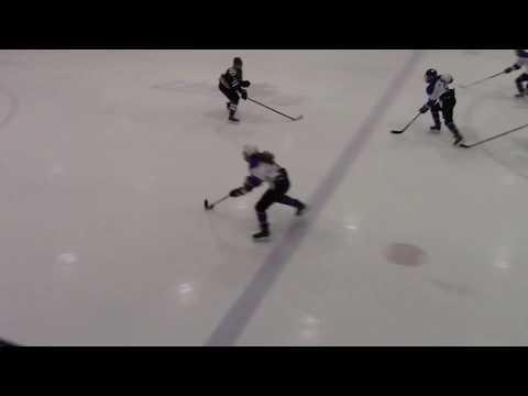 Video of 2019 02 16 Minnetonka North Stars Period 2 Goal Rebecca Alfano