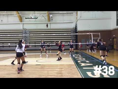 Video of Emily Graham - Setter 2020