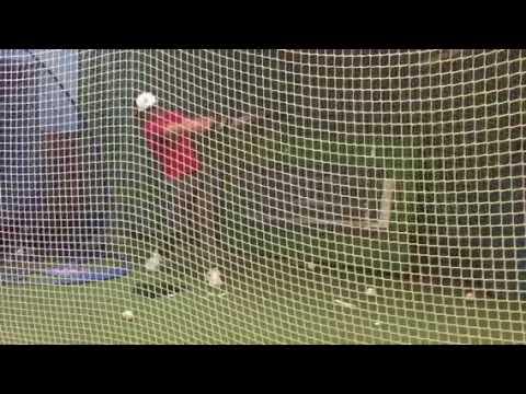 Video of Batting cage with James Cisco/Lehman College