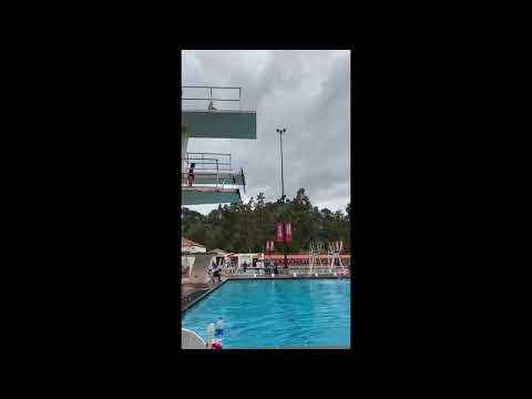 Video of 2019-2020 dives