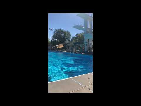 Video of Megan Phifer Diving 12/7/2020