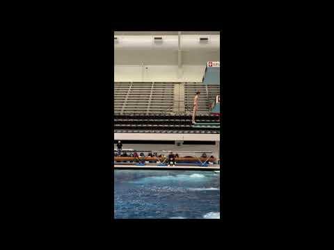 Video of New/improving dives