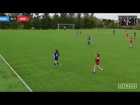 Video of Summer 2021 Highlights