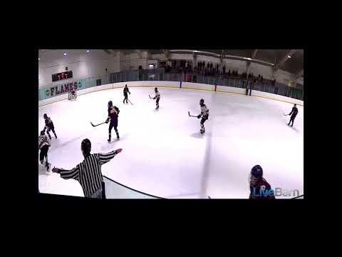 Video of Nicks 2022-2023 hockey season